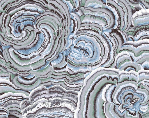 Wideback - Quilting Supplies online, Canadian Company Tree Fungi - Contrast